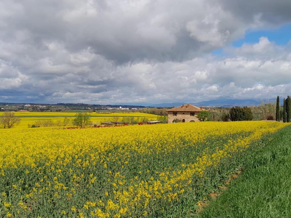 Podere Molinaccio Panicale Exterior foto