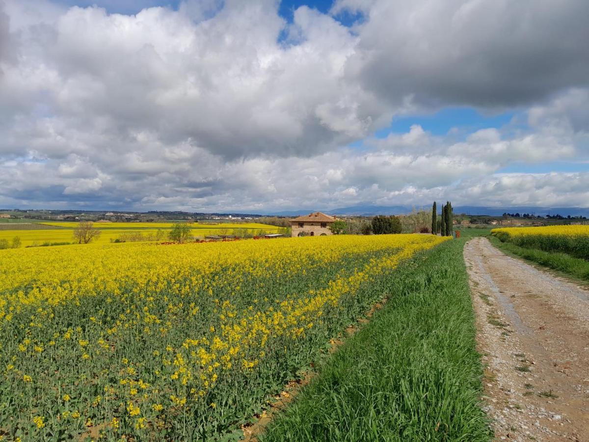 Podere Molinaccio Panicale Exterior foto